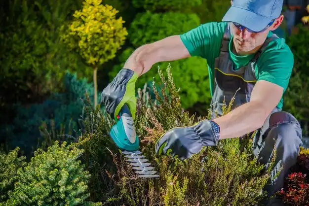 landscaping services Hunter